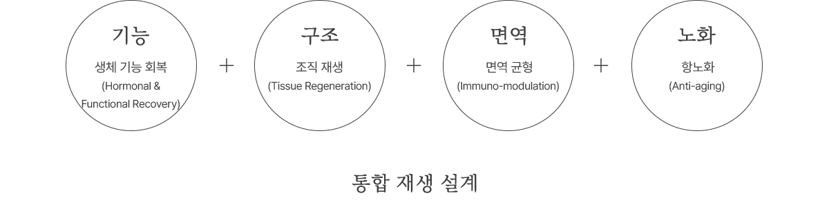 ���� ��� ����