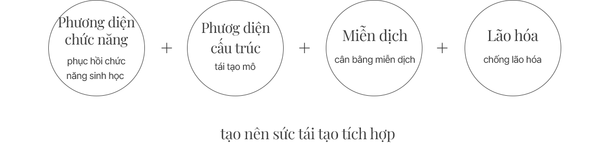 tạo nên sức tái tạo tích hợp